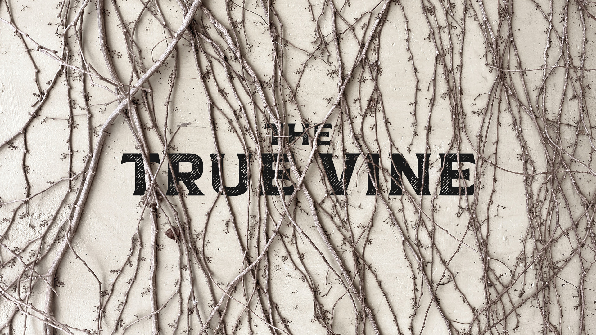 screen-thetruevine-1920x1080